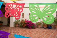 Butterflies